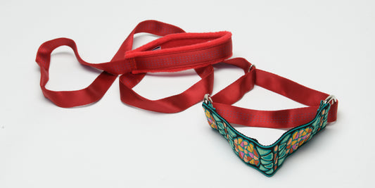 Slip / Martingale Collar with Lead